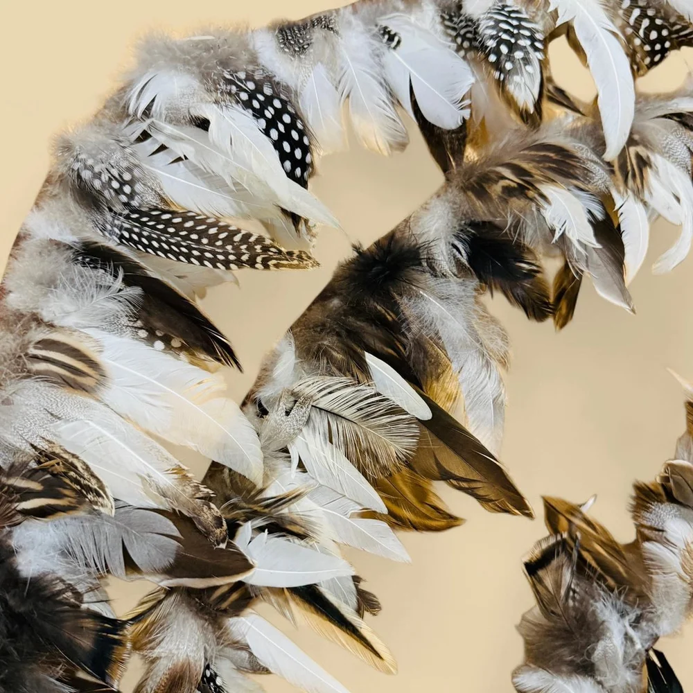 3 Yards of Chicken Duck Turkey Guinea Hen Quail Mixed Feather Trim NEW